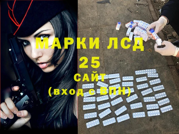 спайс Бородино