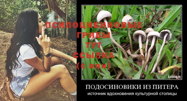 индика Навашино