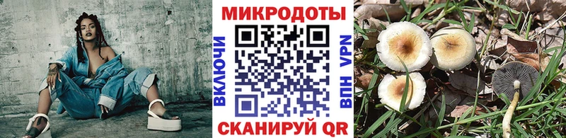 Галлюциногенные грибы Psilocybine cubensis Гурьевск