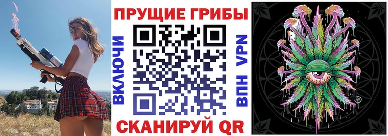 Галлюциногенные грибы MAGIC MUSHROOMS нарко площадка Telegram Гурьевск МЕГА ONION